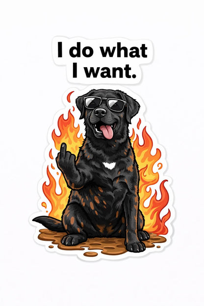 Black Lab Stickers – Dog Lovers, Waterproof Vinyl Decals (Custom Pup Option) Digital download